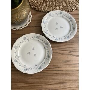 Johann Haviland Bavaria Germany Blue Garland Fine China 10” Dinner Plates (2)